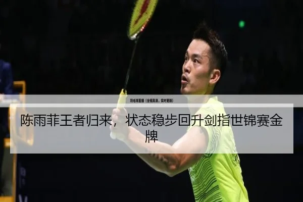 chen-yu-fei-wang-zhe-gui-lai-zhuang-tai-wen-bu-hui-sheng-jian-zhi-shi-jin-sai-jin-pai-3-668.jpg