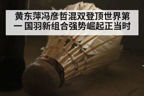 黄东萍冯彦哲混双登顶世界第一 国羽新组合强势崛起正当时