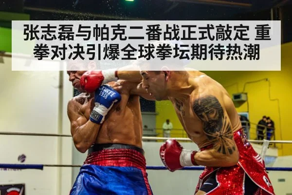 张志磊与帕克二番战正式敲定 重拳对决引爆全球拳坛期待热潮